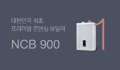 나비엔NCB900